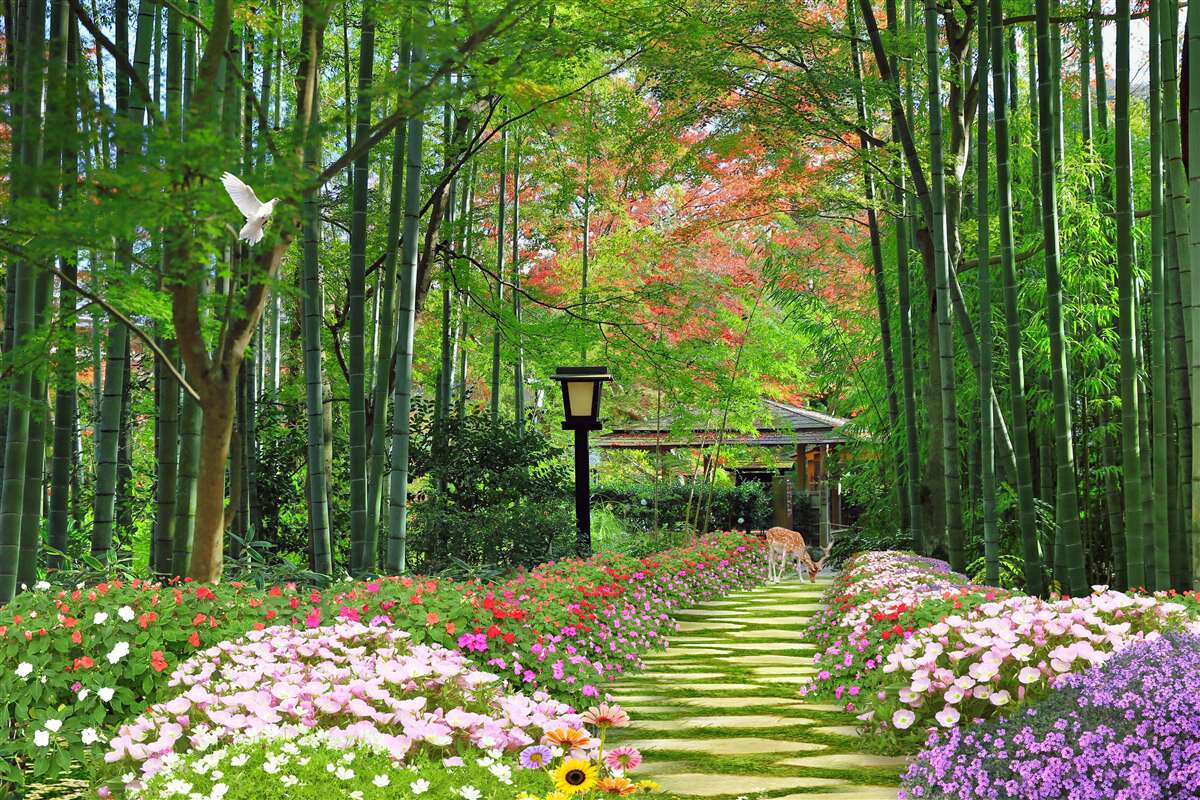 Фотошпалери фото лісу із зеленню та стежкою