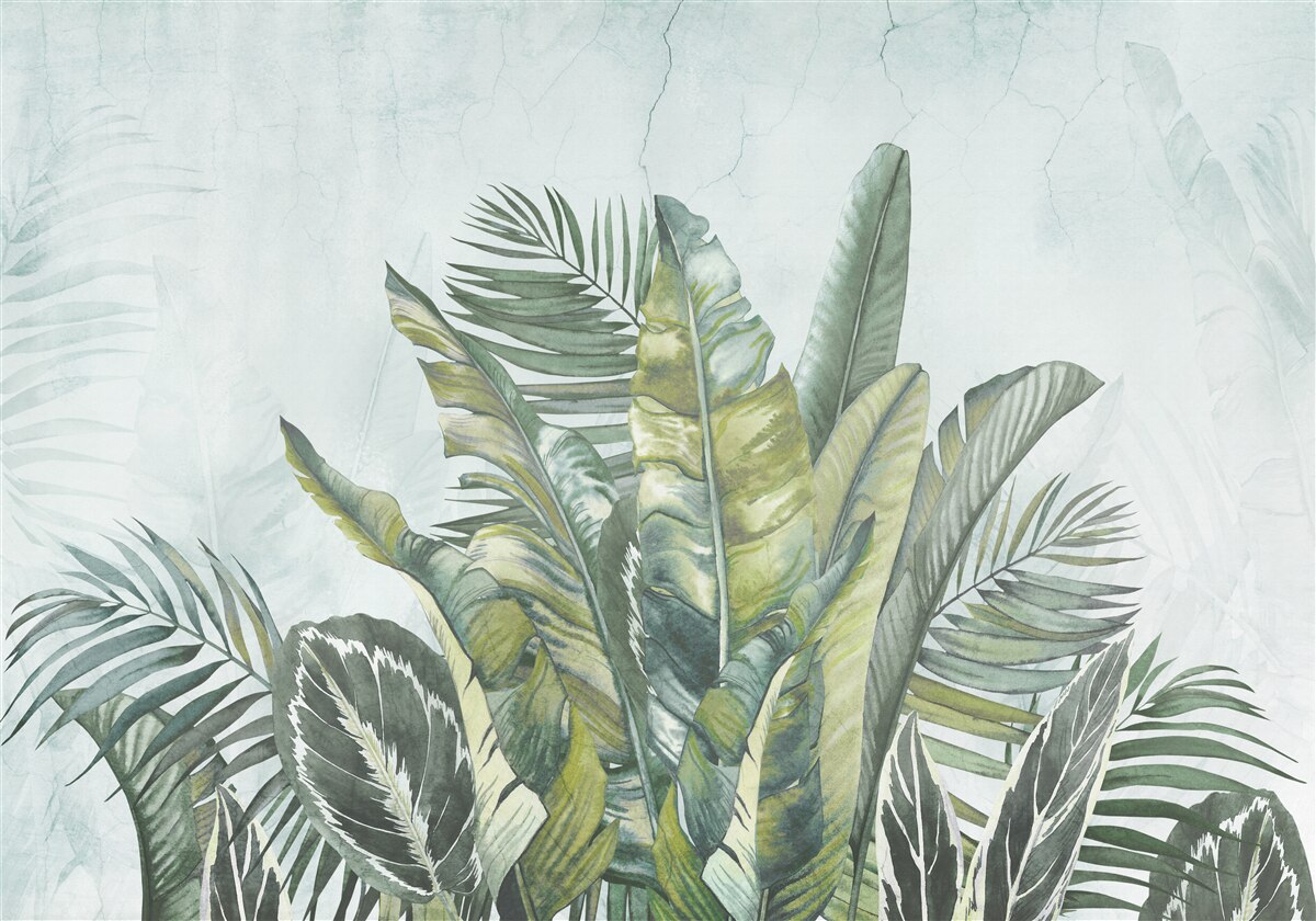 Фотошпалери зелені зарості тропічної рослинності