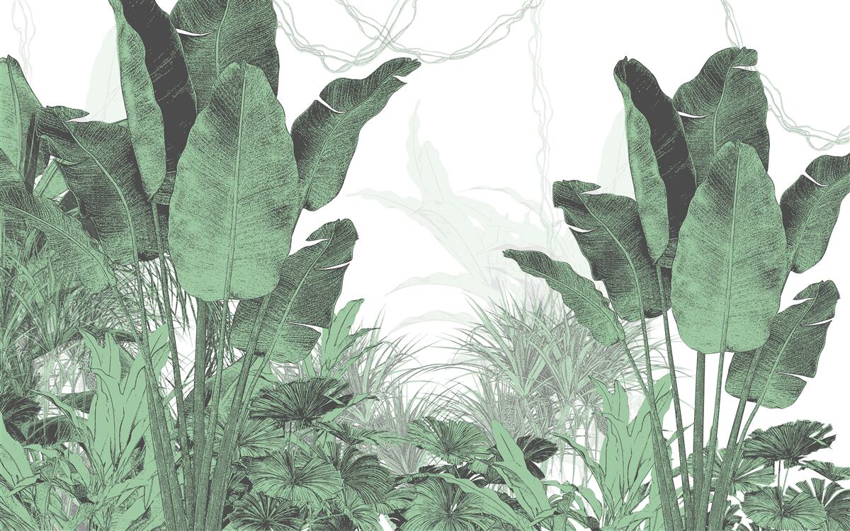 Фотошпалери велике тропічне листя значного розміру