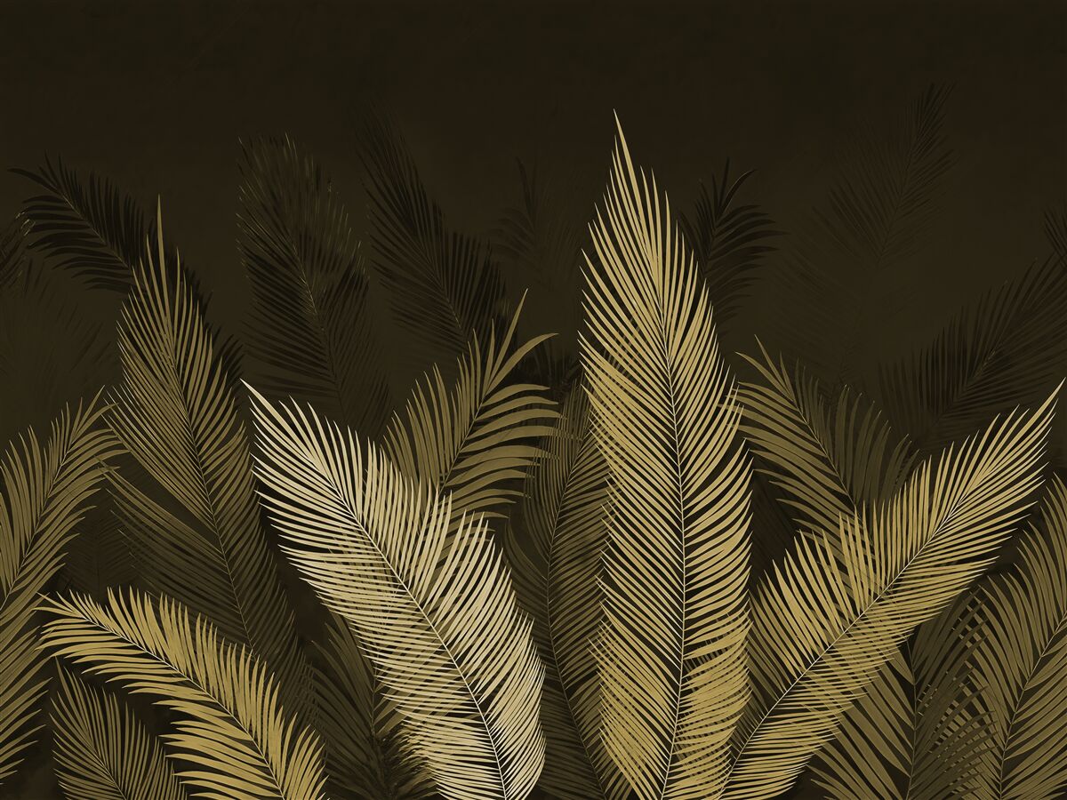 Фотошпалери листя папороті в нічному лісі