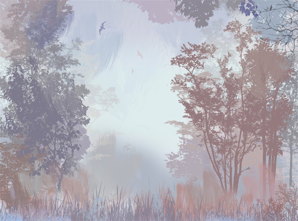 Фотошпалери ранок у лісі восени