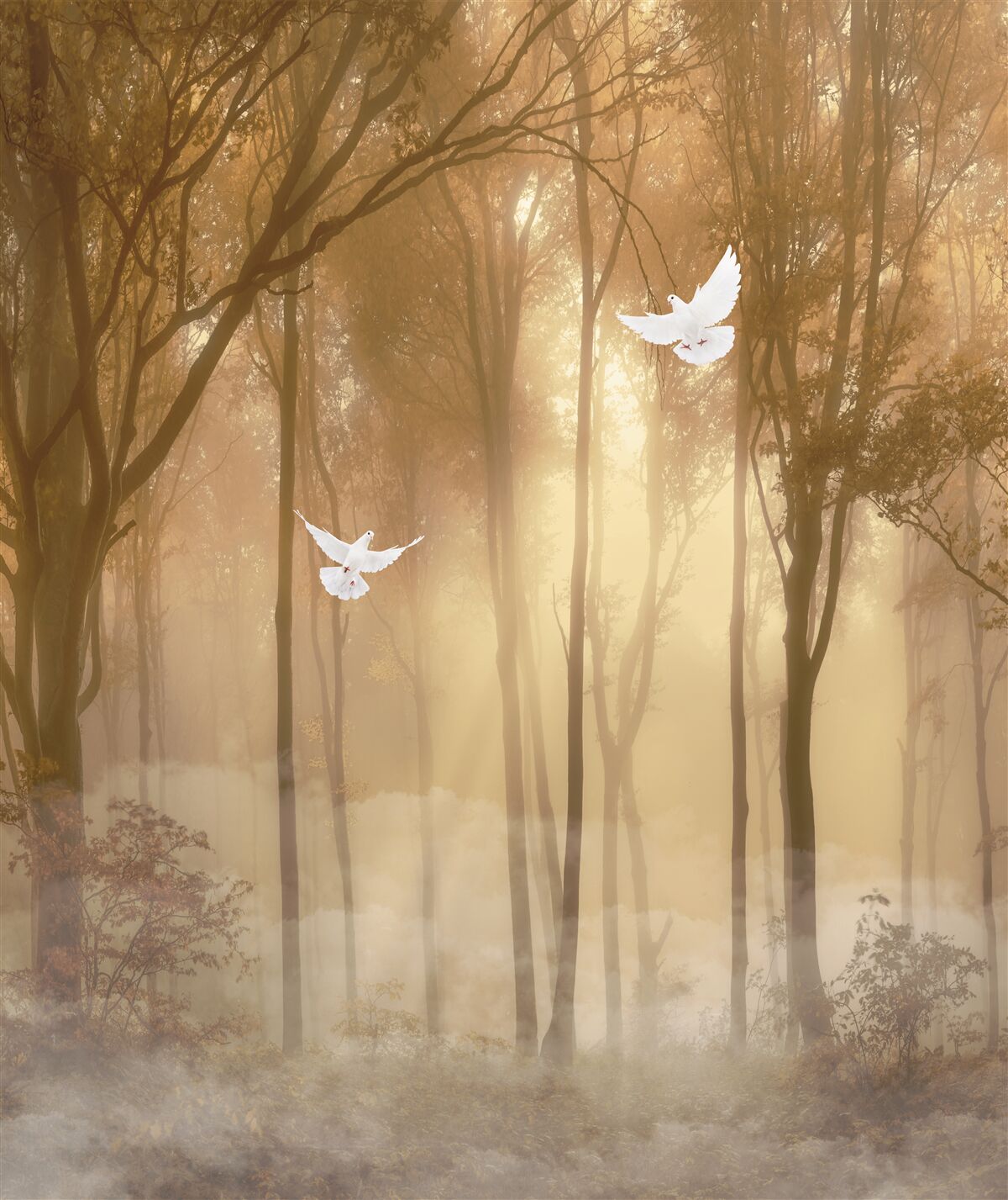 Фотошпалери пролітаючі голуби прорізають туманний покрив