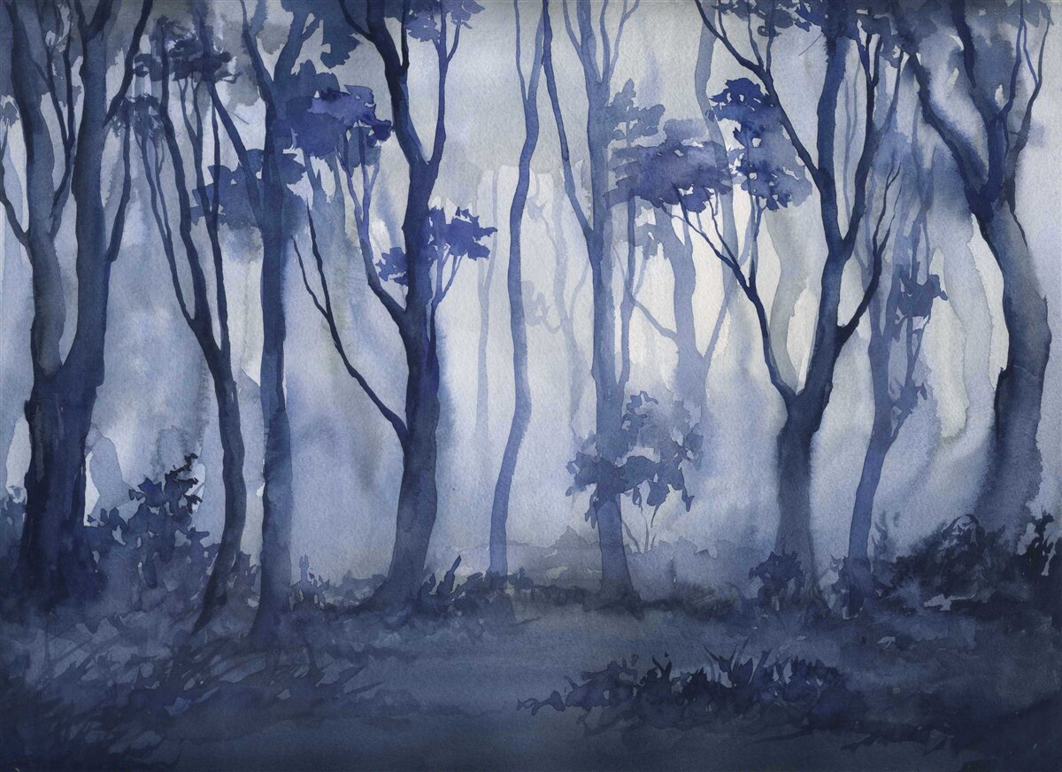 Фотошпалери густий туман у гущавині лісу