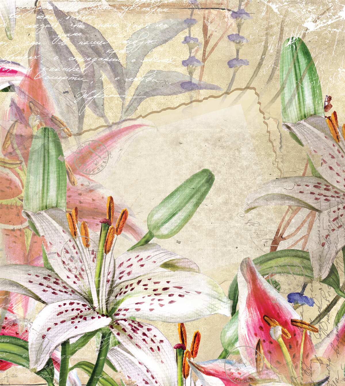 Фотошпалери білосніжні лілії у цвітінні