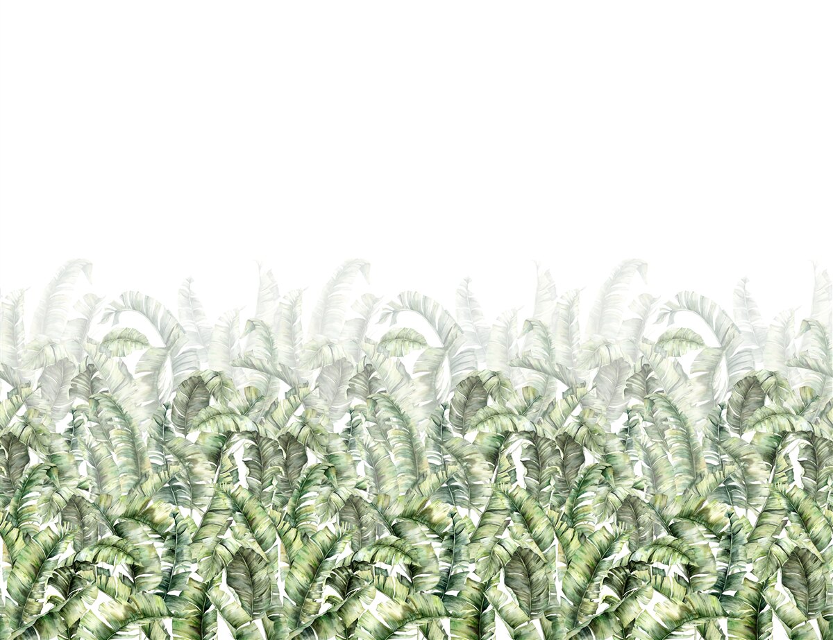 Фотошпалери густа біла папороть і туман