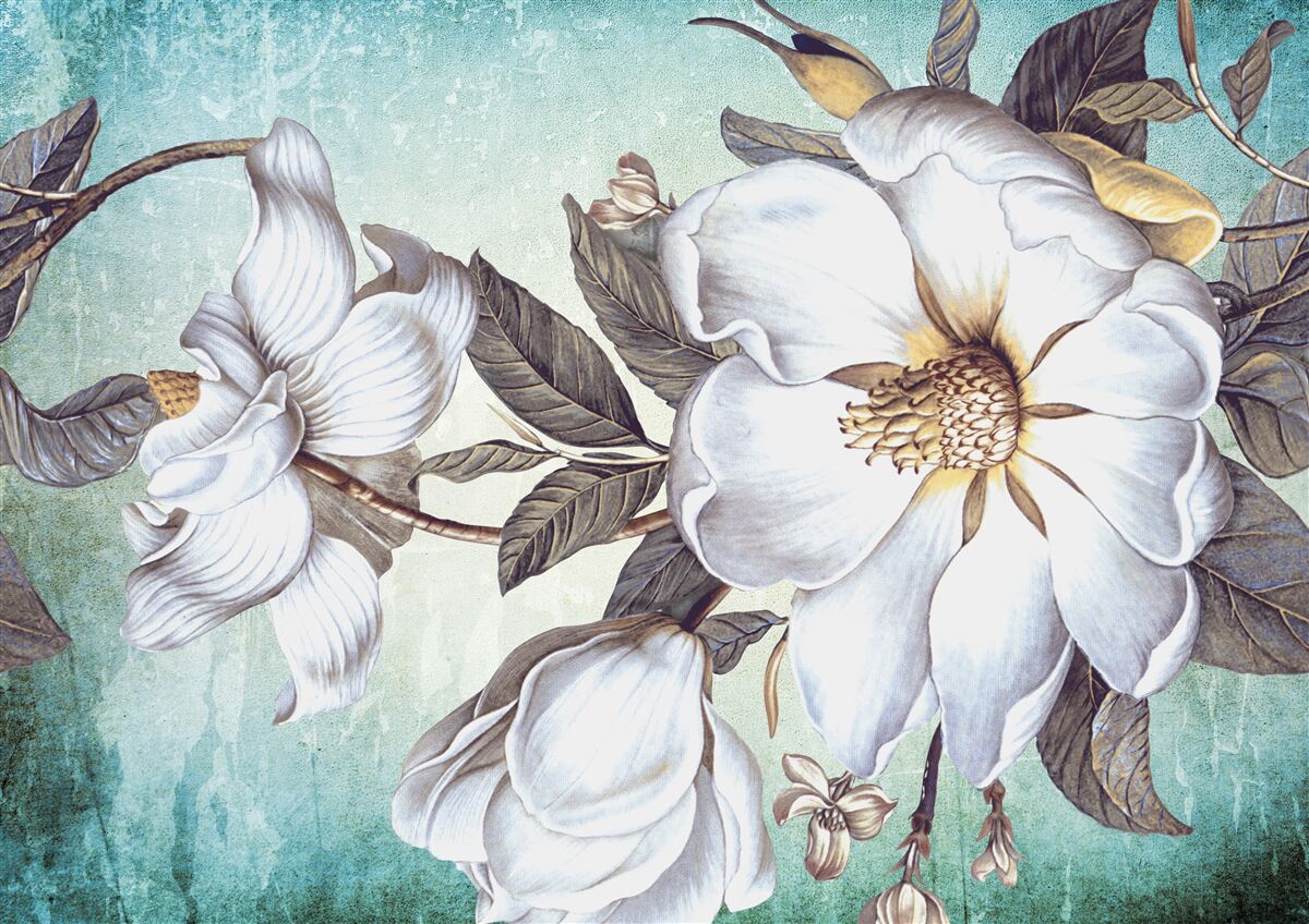 Фотошпалери розпускаються білосніжні квіти