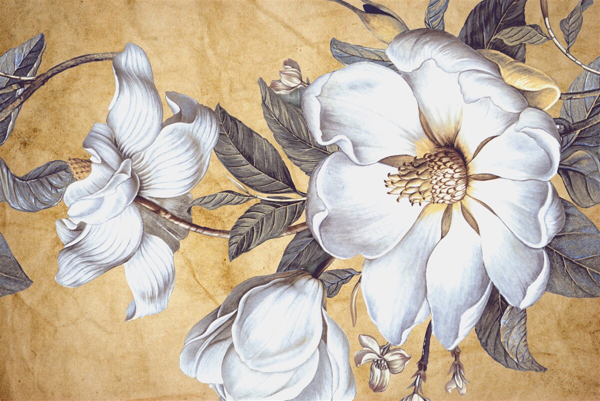 Фотошпалери цвітіння білих бутонів на гілках