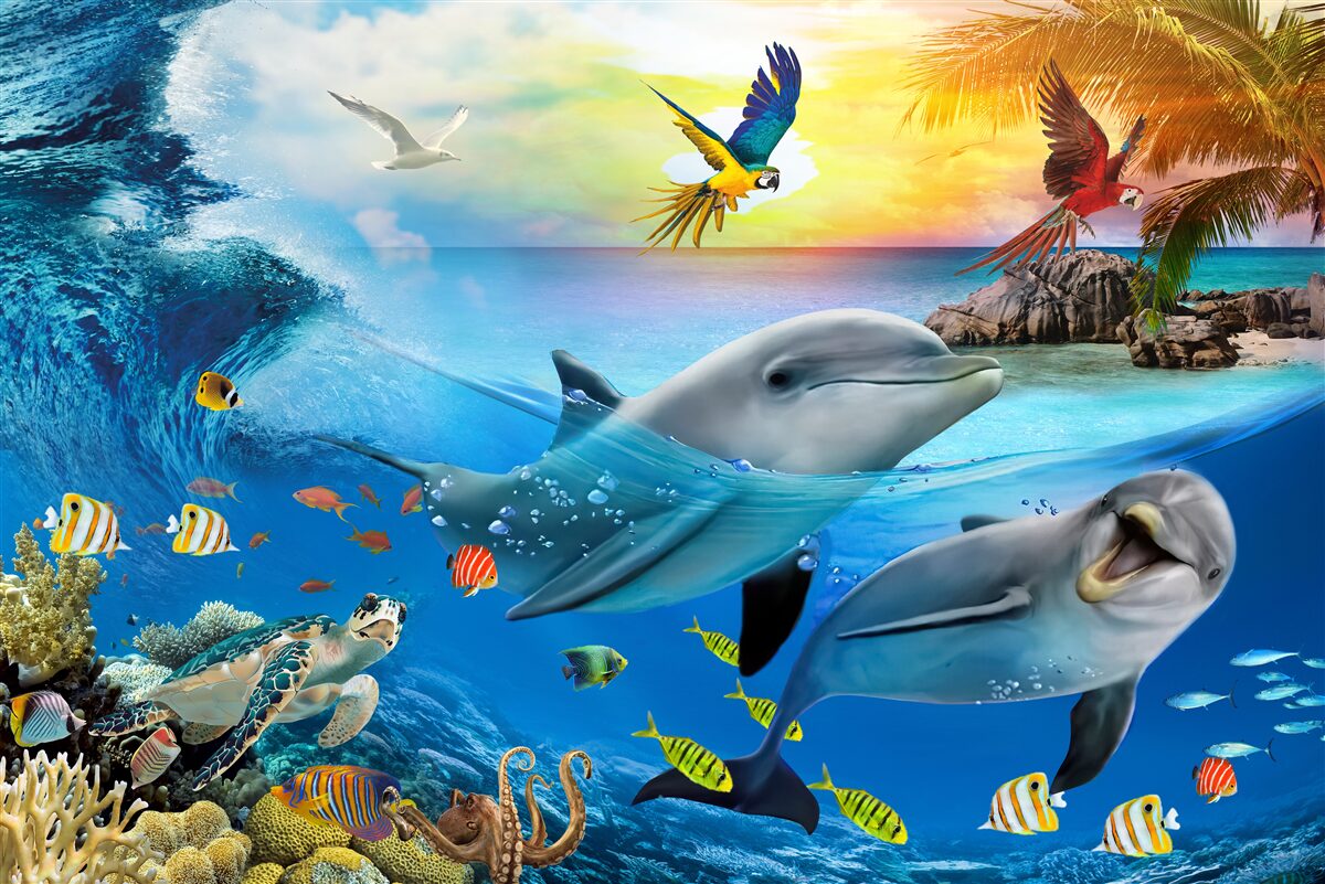 Фотошпалери Світанок чекає на дельфінів