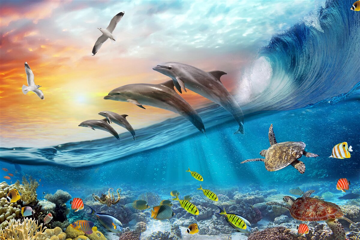 Фотошпалери дельфіни вистрибують з хвиль