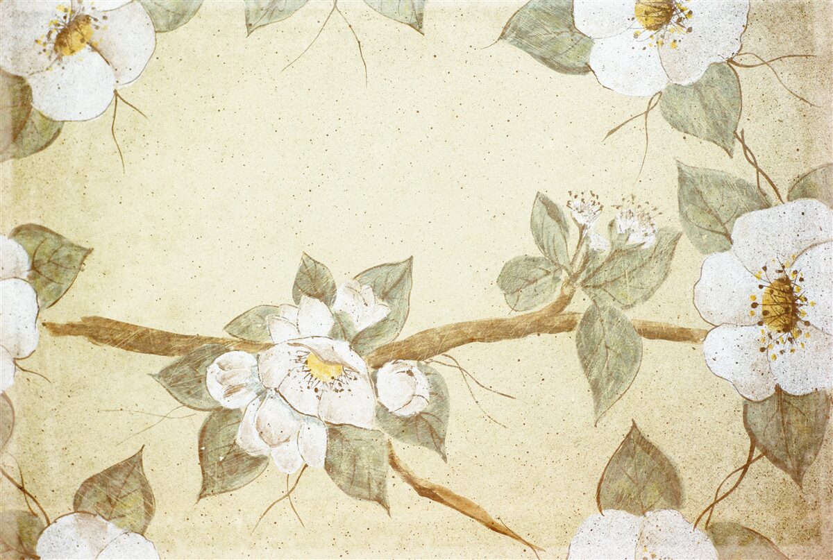 Фотошпалери на гілках розпускаються квіти