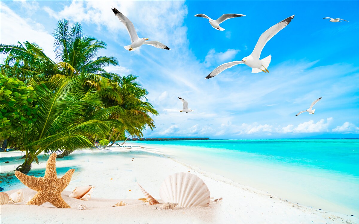 Фотошпалери спокійний тропічний берег