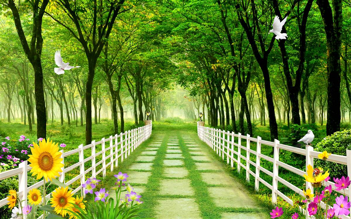 Фотошпалери пишний зелений ліс і стежка, всипана квітами