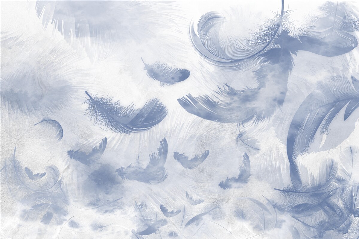 Фотошпалери літаюче пір'я неба