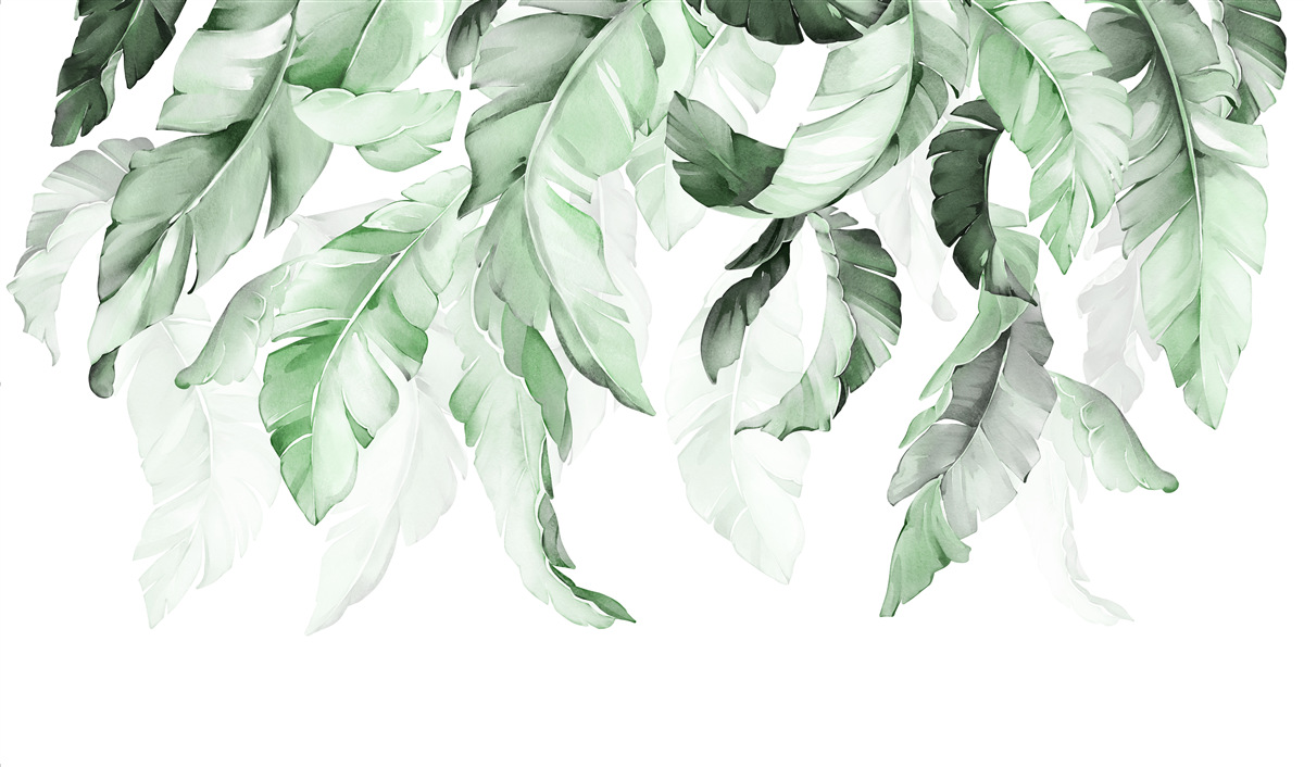 Фотошпалери листя папороті звисає