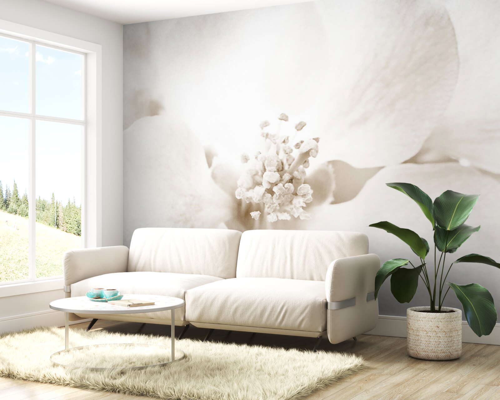 Фотошпалери великий ніжний бутон орхідеї