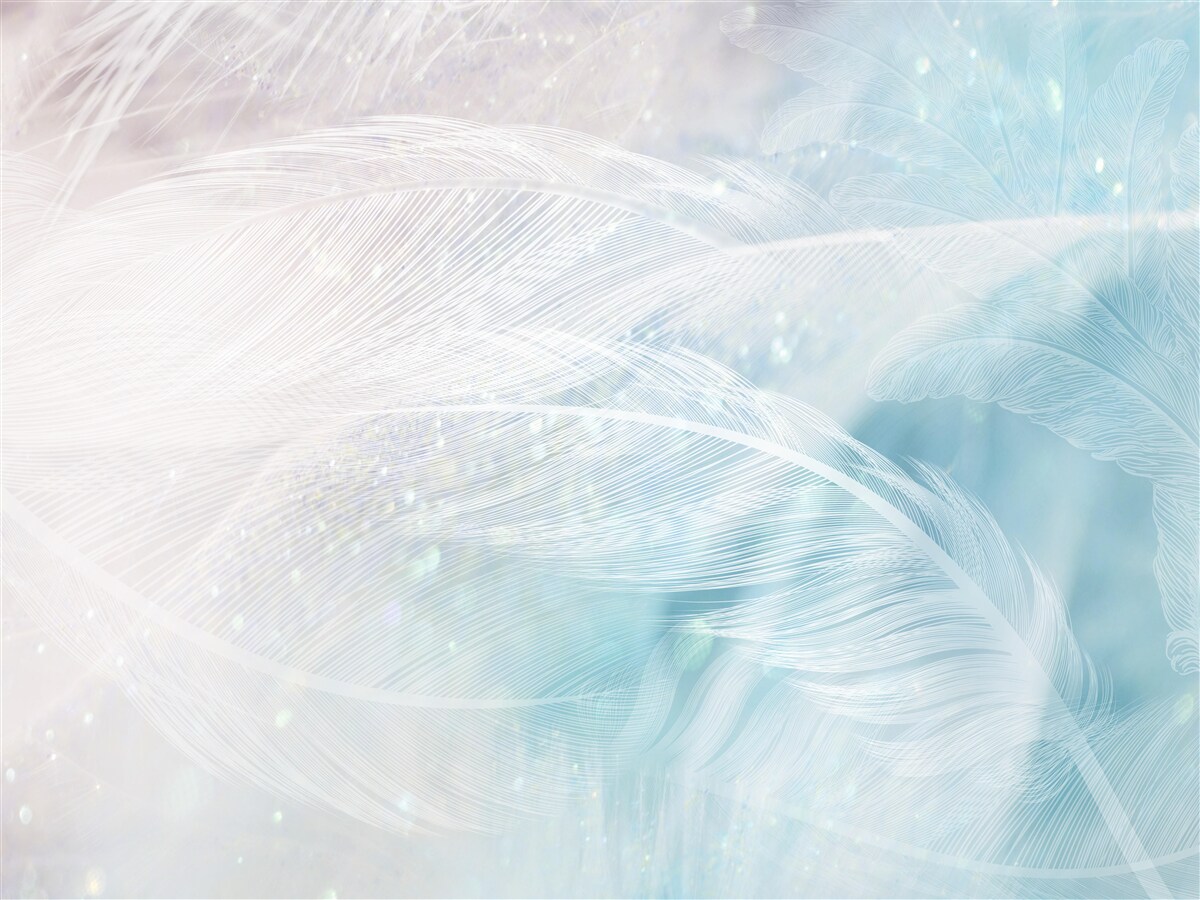 Фотошпалери пір'я в абстракції