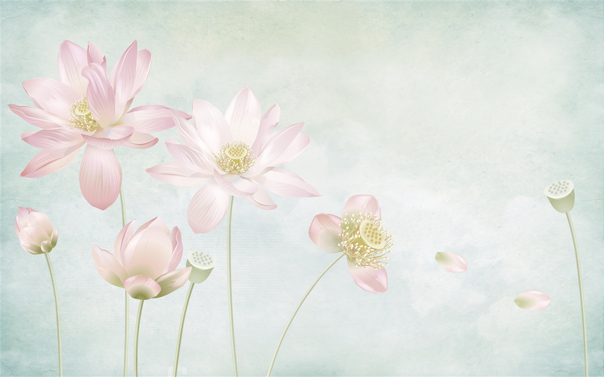 Фотошпалери витончені маки на блакитному тлі