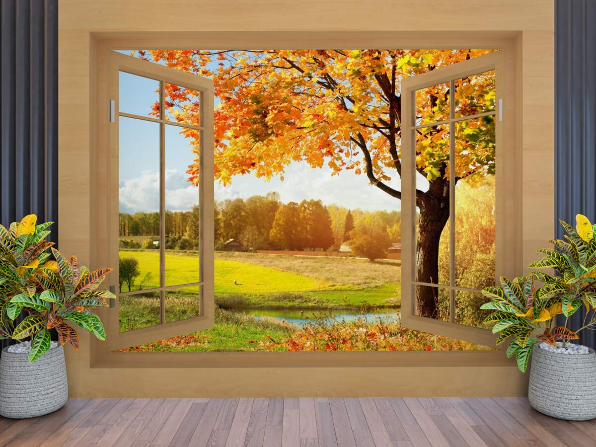 Фотошпалери осінній вид з вікна