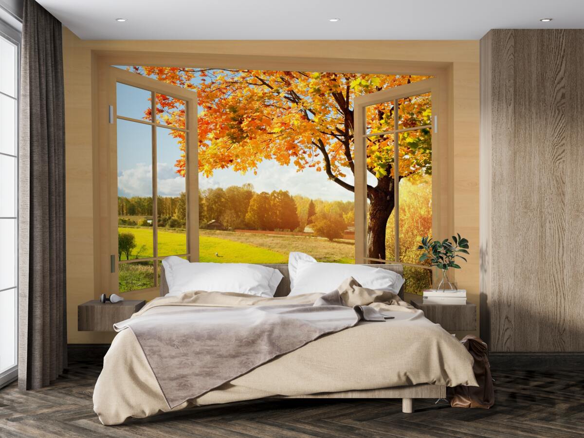 Фотошпалери осінній вид з вікна