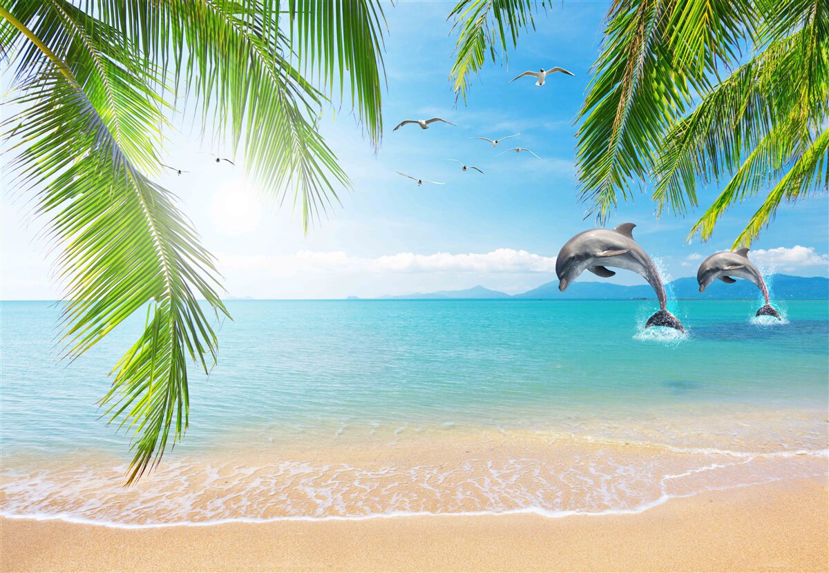 Фотошпалери два дельфіни біля узбережжя з блакитною водою