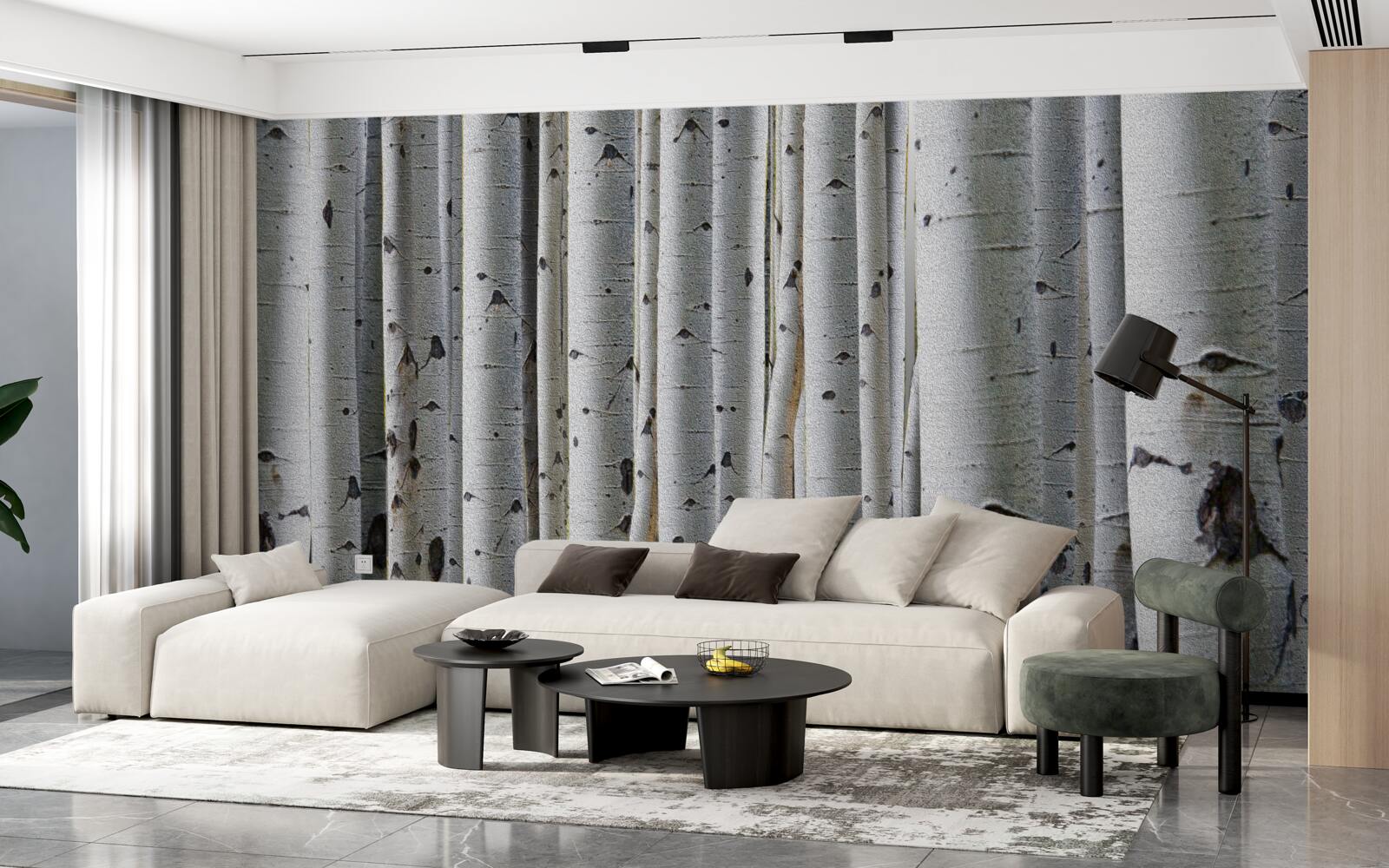 Фотошпалери березовий ліс