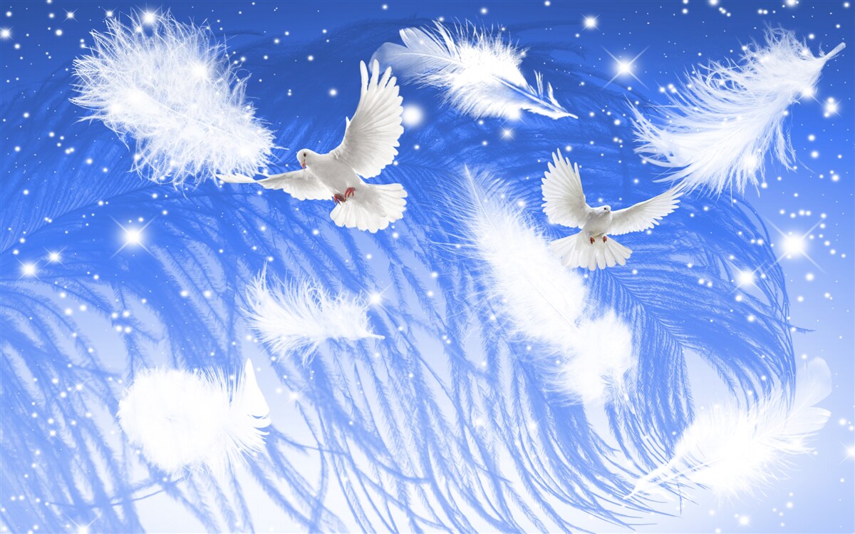 Фотошпалери переміщення в атмосфері яскравих птахів та їхнього оперення