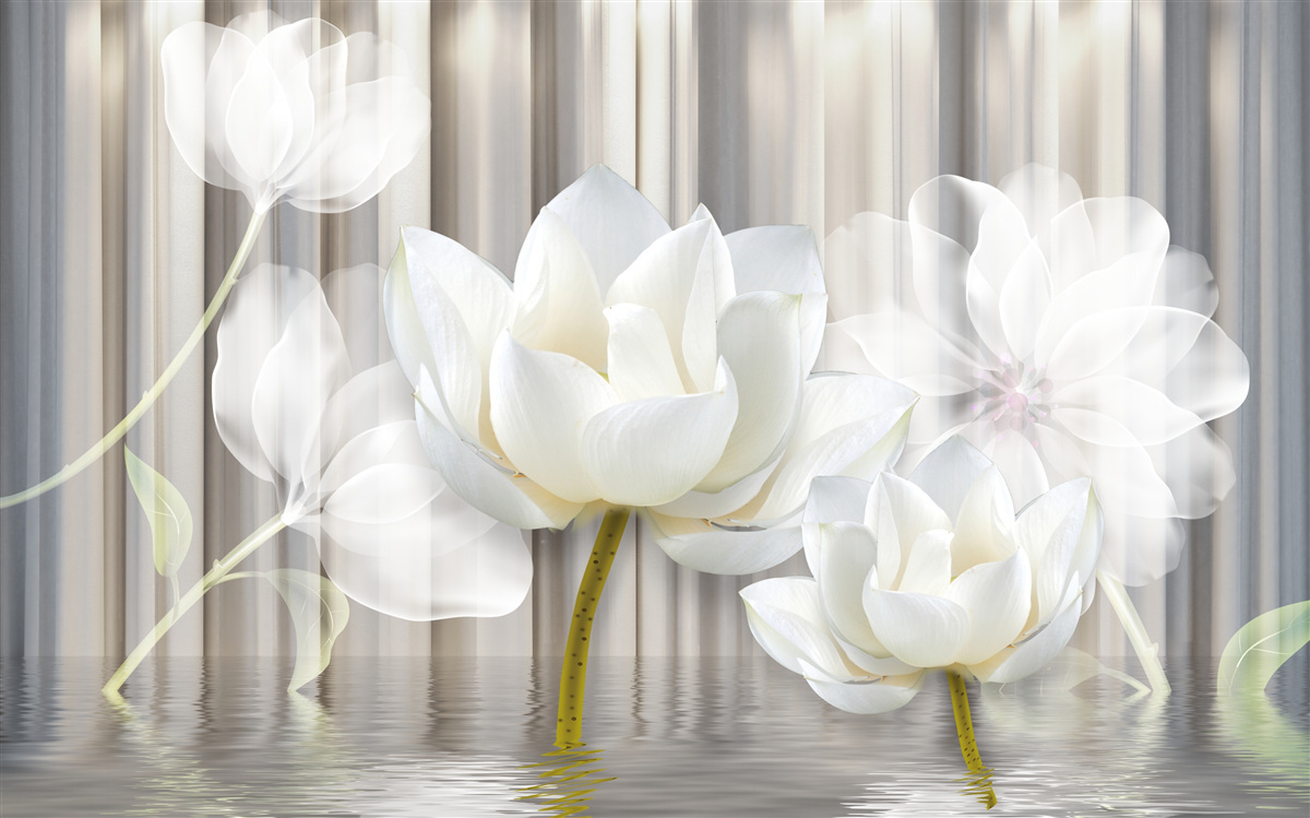 Фотошпалери білі тюльпани, легкі, як повітря