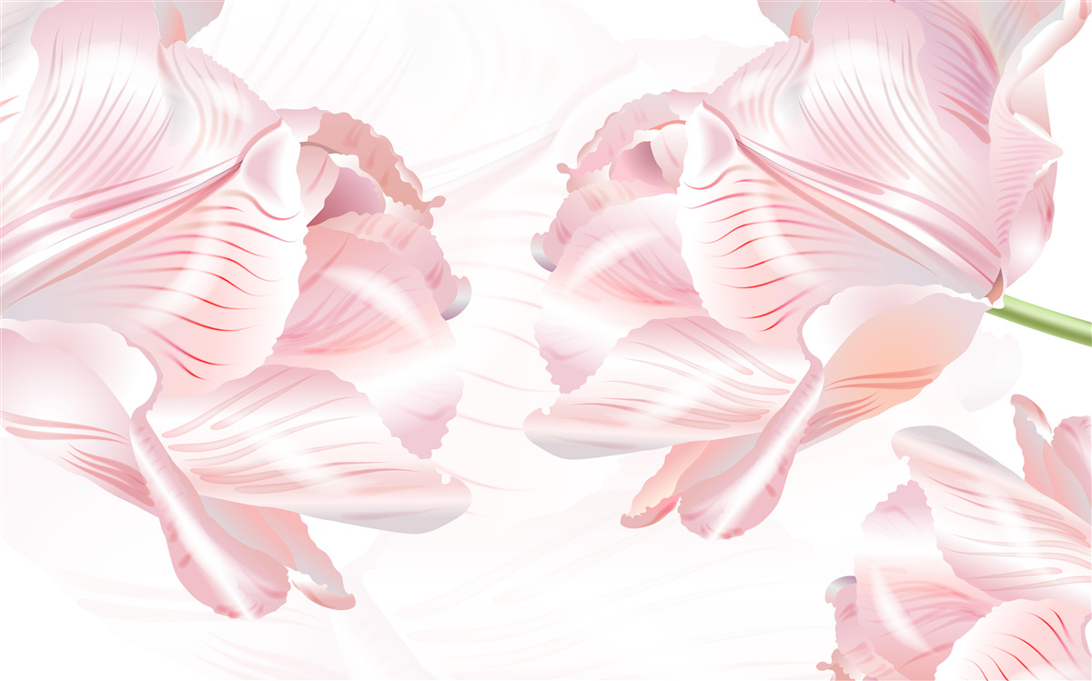 Фотошпалери рожеві тюльпани з романтичним настроєм