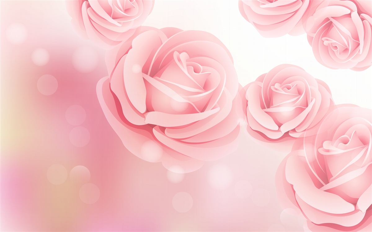 Фотошпалери ніжні квіти троянди в рожевому відтінку
