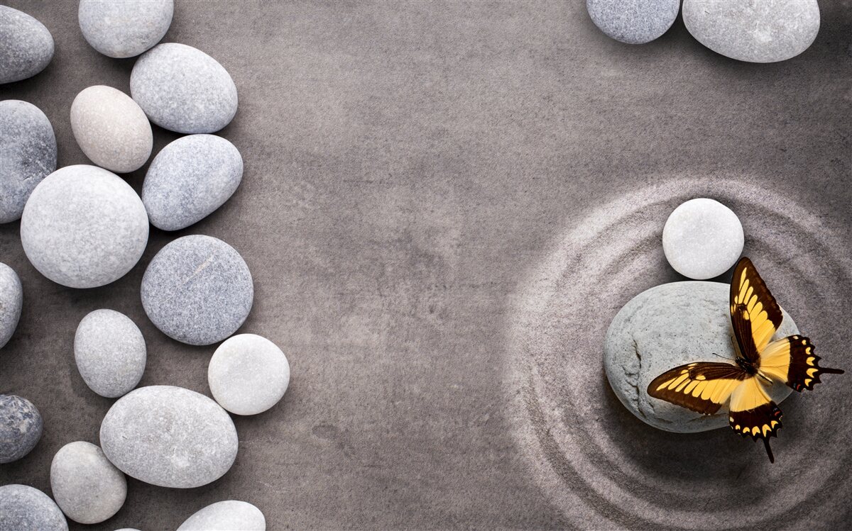 Фотошпалери метелик сидить на камені біля ставка