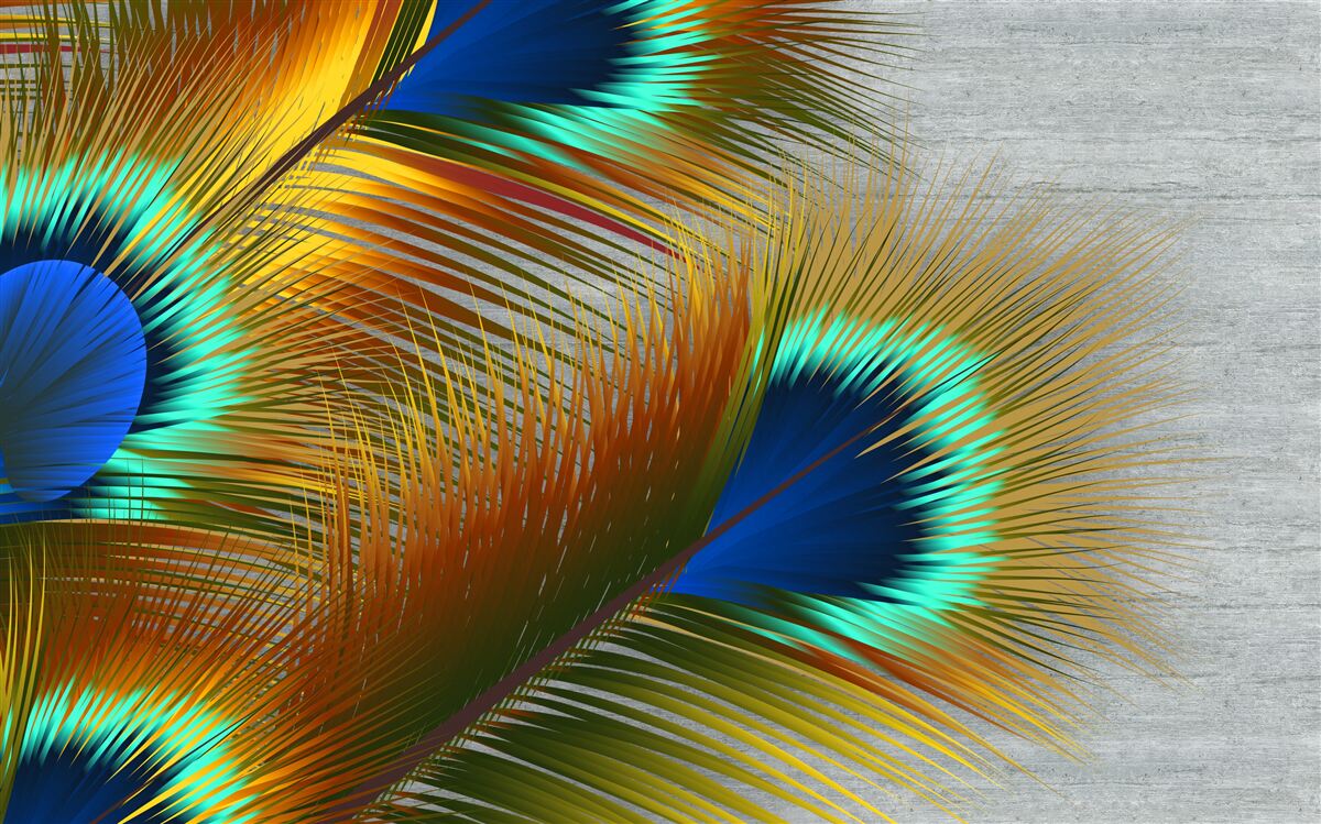 Фотошпалери пишне павине пір'я