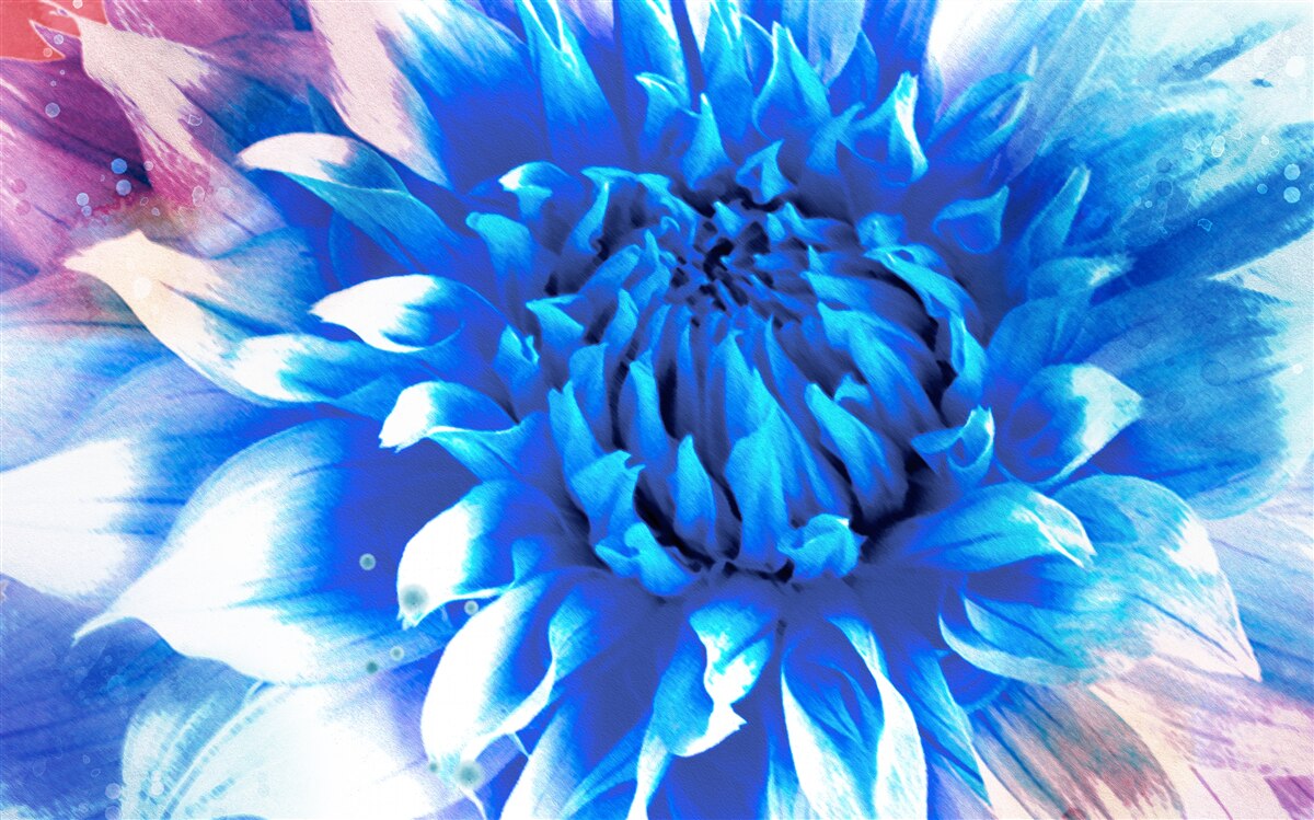 Фотошпалери блакитна, як блакитна айстра