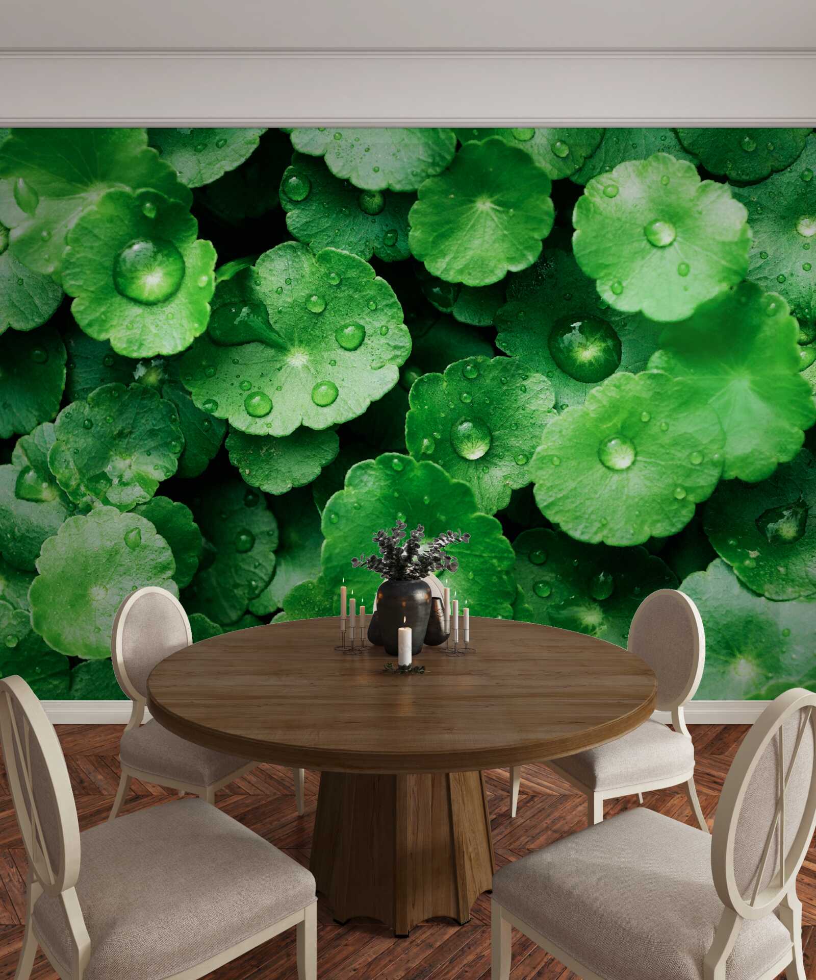 Фотошпалери зелене листя, вкрите свіжими краплями води