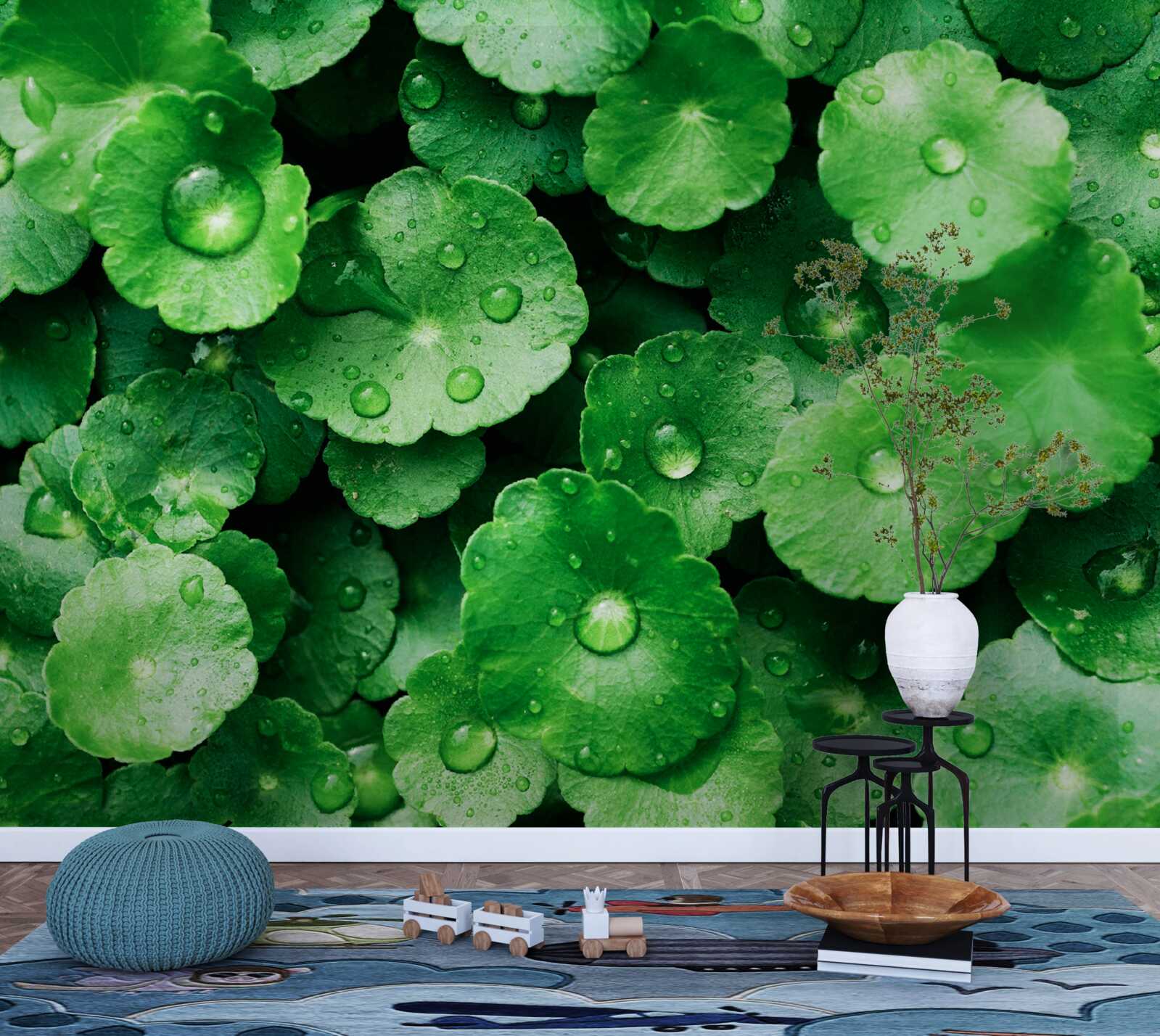 Фотошпалери зелене листя, вкрите свіжими краплями води