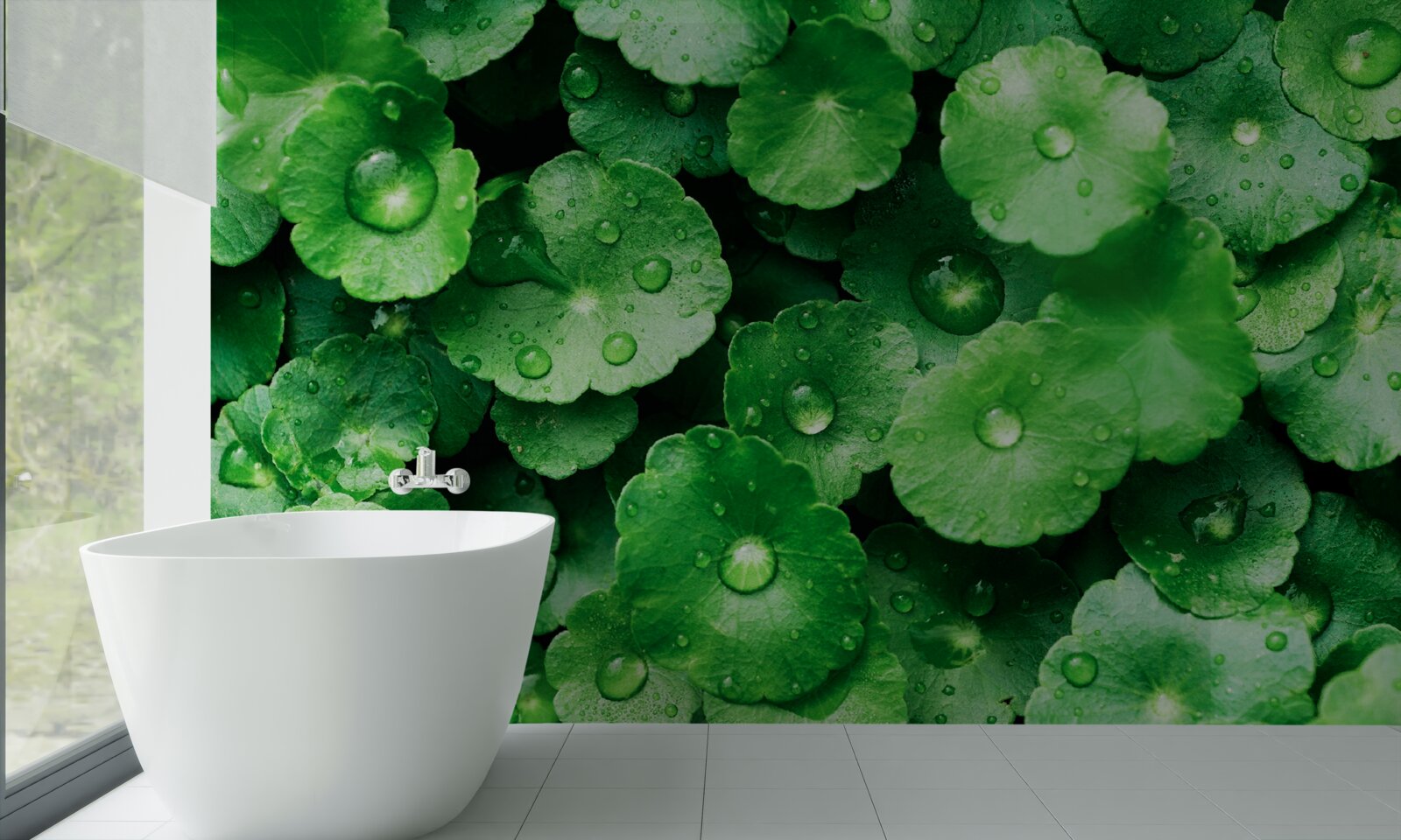 Фотошпалери зелене листя, вкрите свіжими краплями води