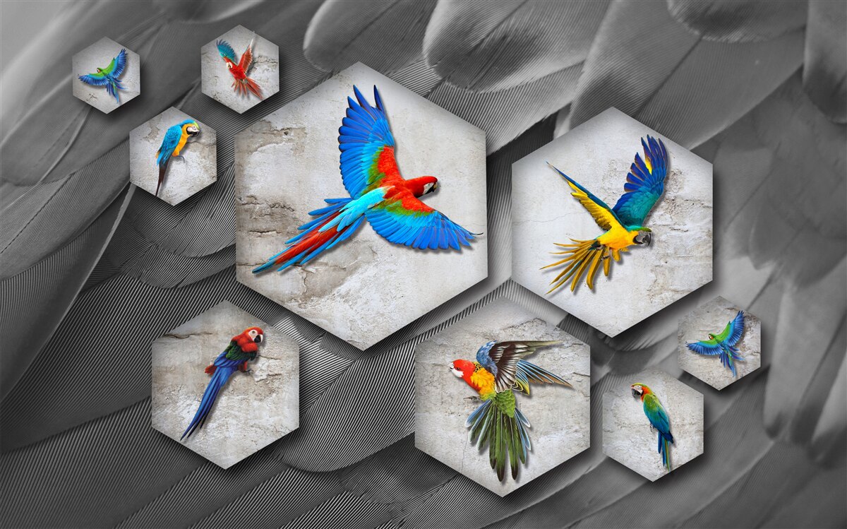 Фотошпалери різні види кольорових папуг