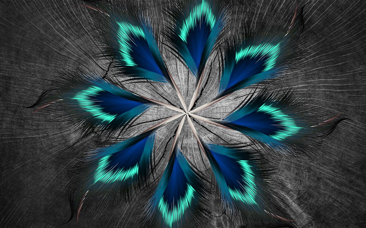 Фотошпалери павине пір'я у формі зірки з абстрактним дизайном