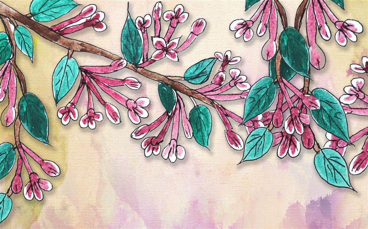 Фотошпалери гілка сакури зацвітає і залишає