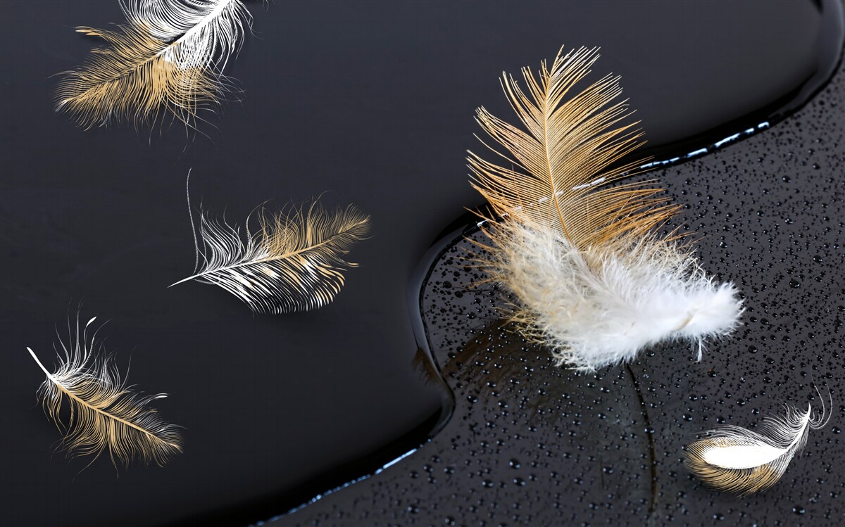 Фотошпалери м'який пух у білосніжному та золотому кольорах