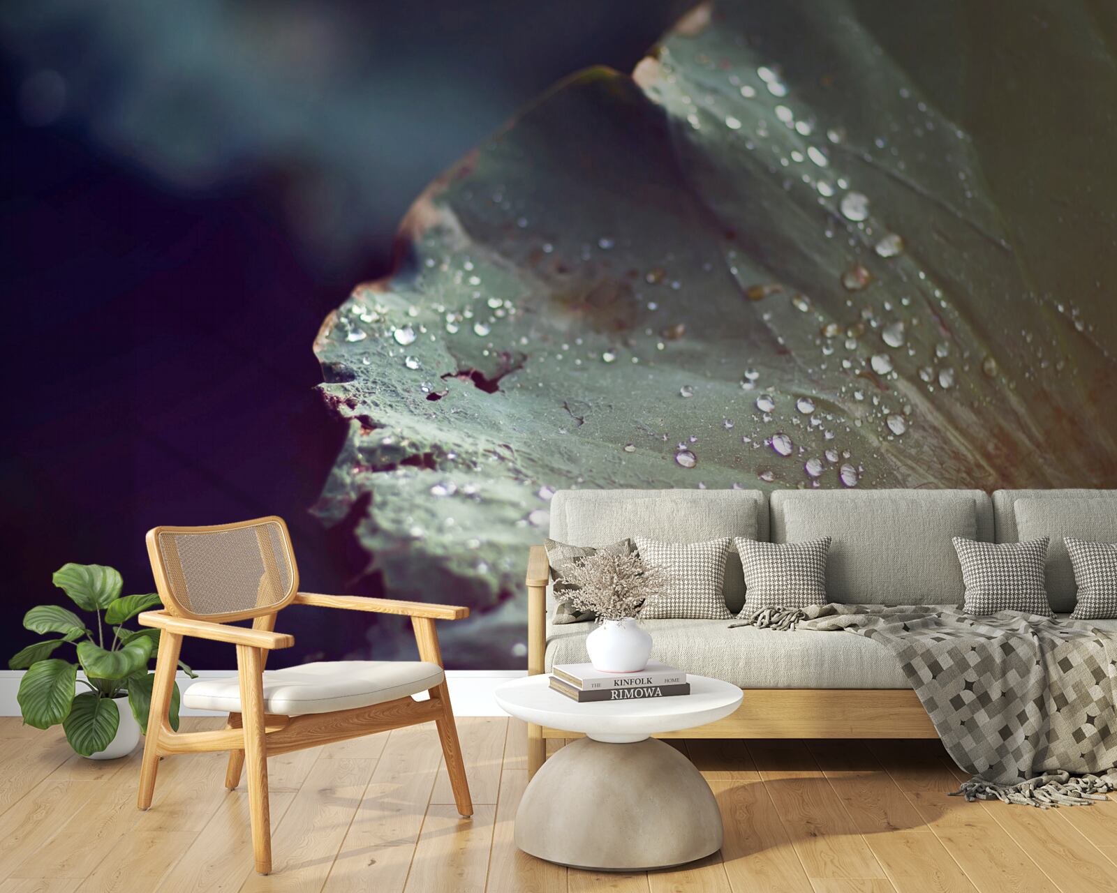 Фотошпалери зернятка ранньої роси на листі