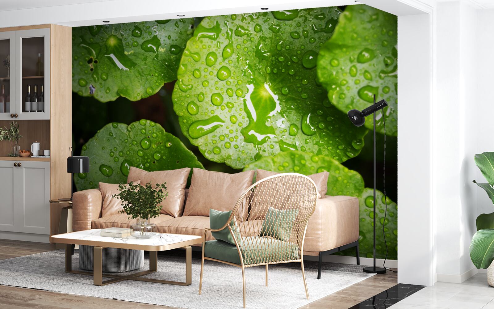 Фотошпалери листя, омите краплями дощу, набуло насиченого зеленого відтінку