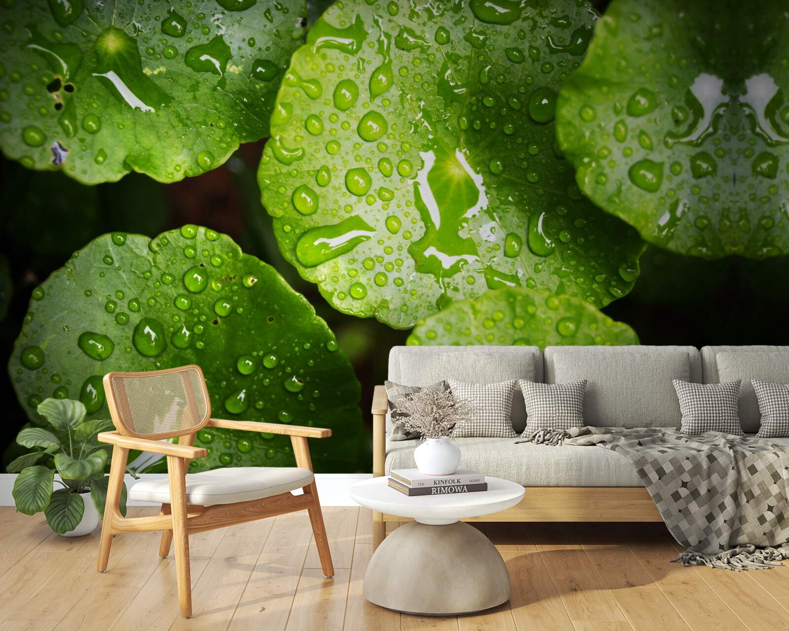 Фотошпалери листя, омите краплями дощу, набуло насиченого зеленого відтінку