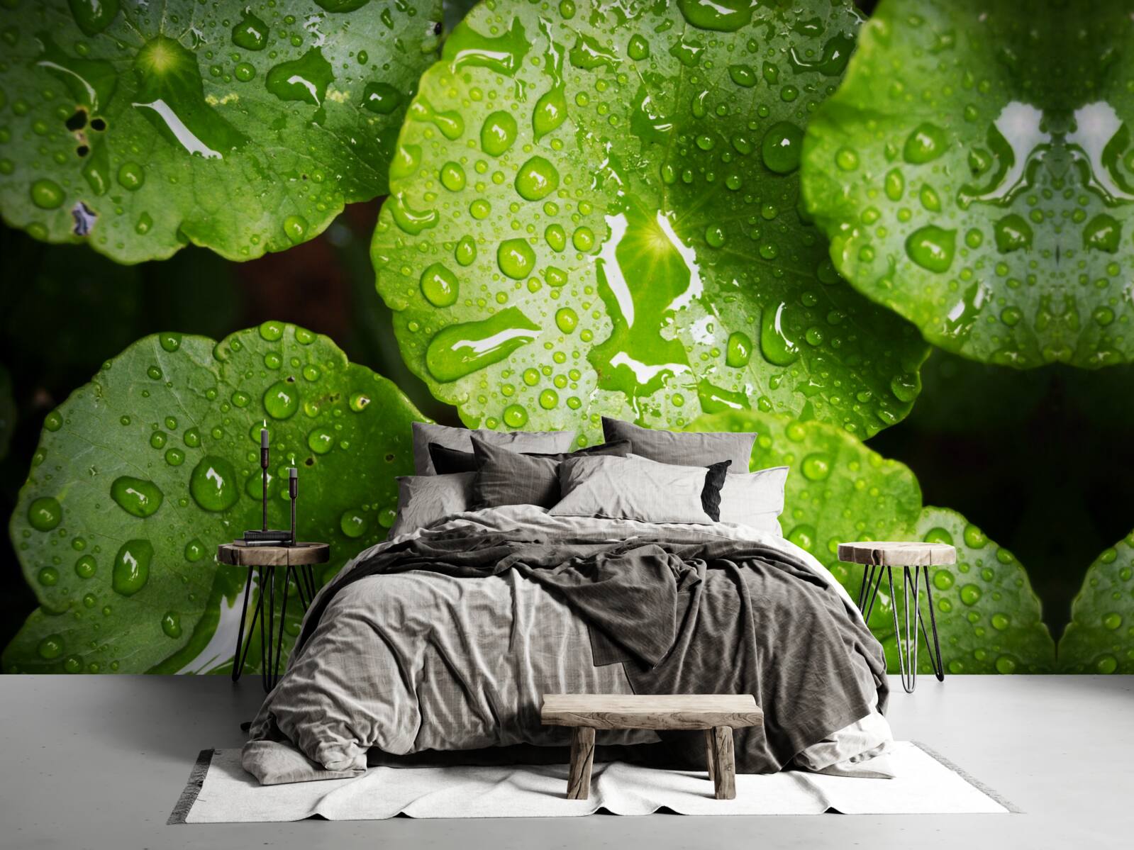 Фотошпалери листя, омите краплями дощу, набуло насиченого зеленого відтінку