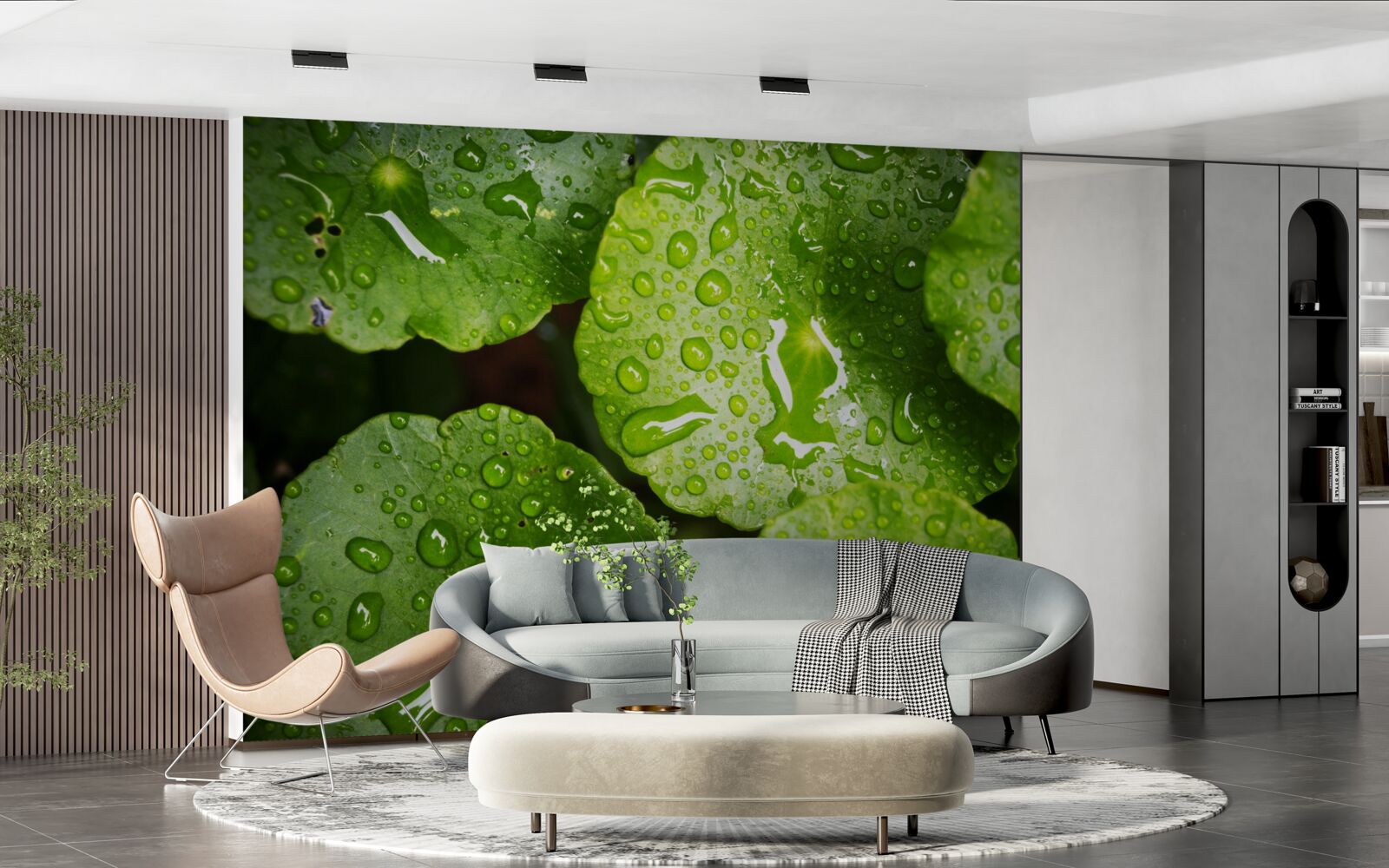 Фотошпалери листя, омите краплями дощу, набуло насиченого зеленого відтінку