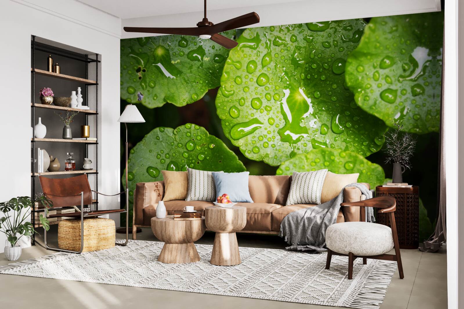 Фотошпалери листя, омите краплями дощу, набуло насиченого зеленого відтінку