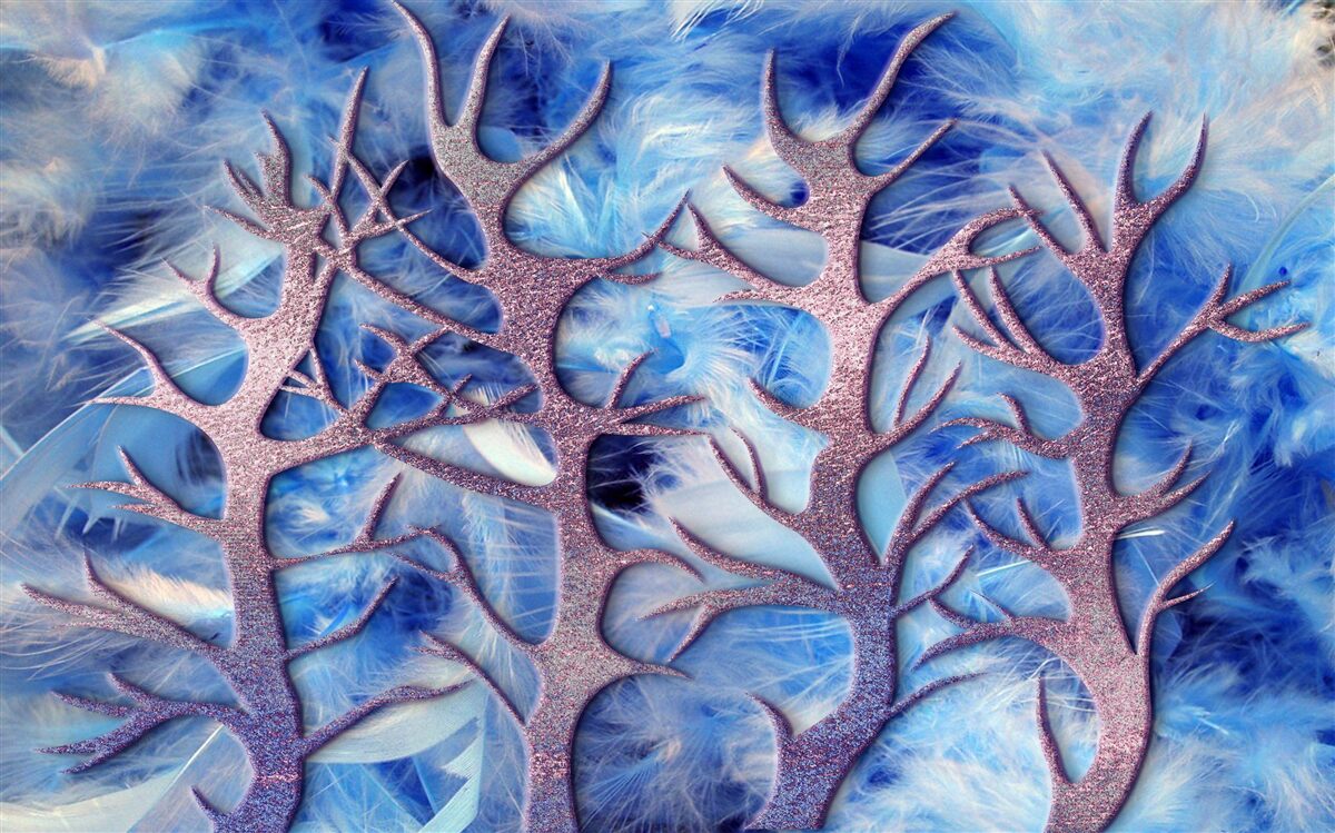 Фотошпалери ліс холодною зимою