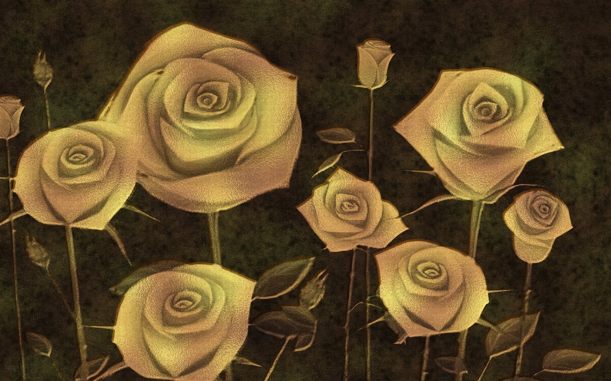 Фотошпалери на коричневому тлі - білий бутон троянди