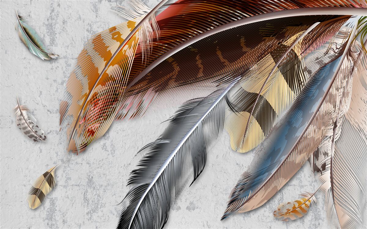 Фотошпалери пір'я різних видів птахів