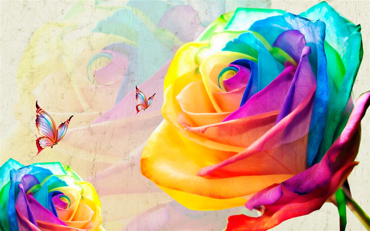 Фотошпалери райдужна троянда