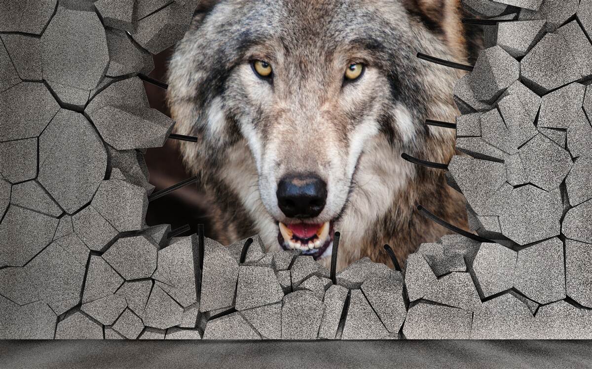 Фотошпалери лісовий вовк руйнує стіну